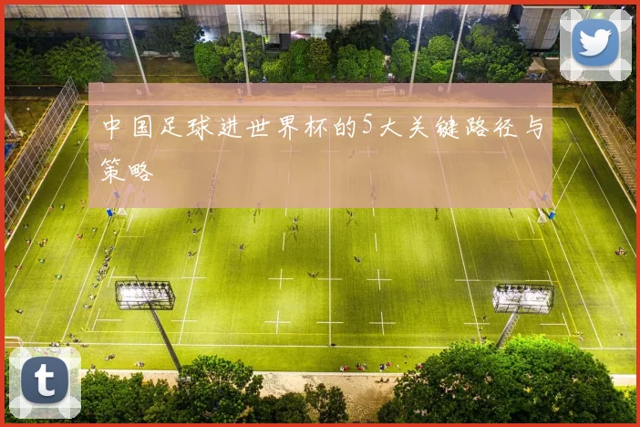 中国足球进世界杯的5大关键路径与策略