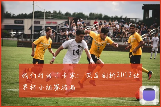 我们对话了专家：深度剖析2012世界杯小组赛格局